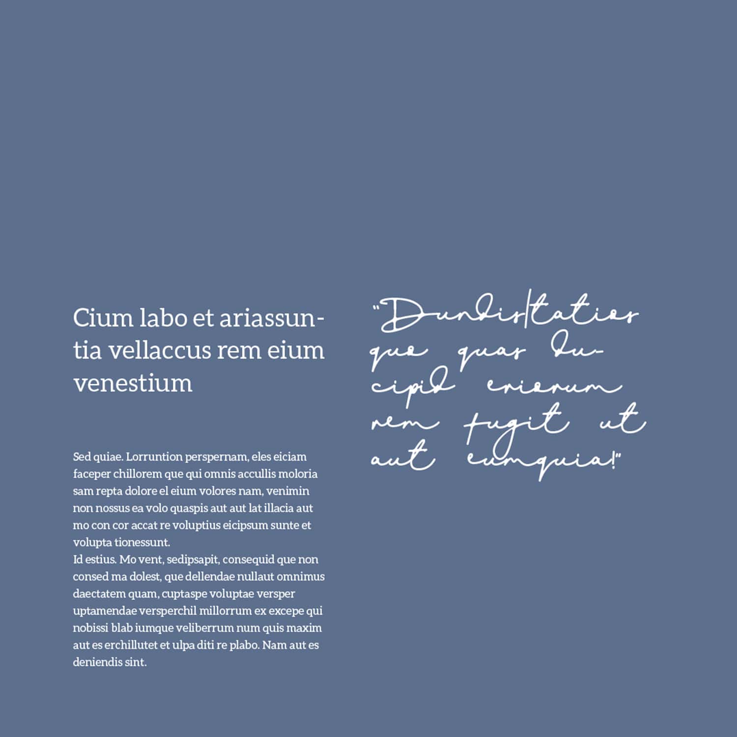 Overy Beauty Signature Colour Palette and Fonts_Copyright Tiny Crowd